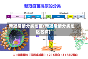 新冠疫情分类地区(新冠疫情分类地区名称)
