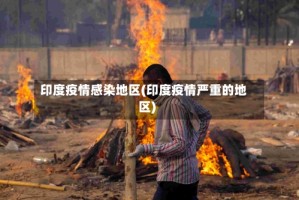 印度疫情感染地区(印度疫情严重的地区)
