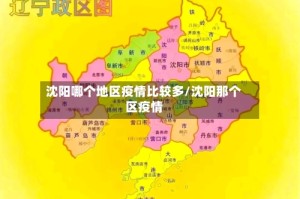 沈阳哪个地区疫情比较多/沈阳那个区疫情