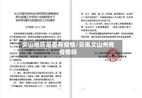 文山地区是否有疫情/云南文山州有疫情吗-第1张图片