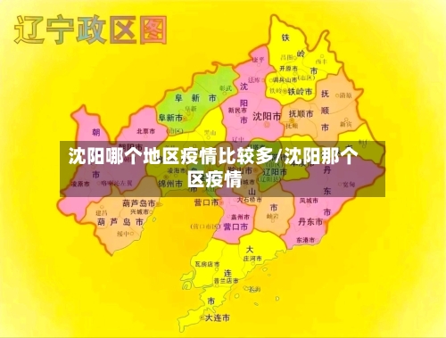 沈阳哪个地区疫情比较多/沈阳那个区疫情-第1张图片