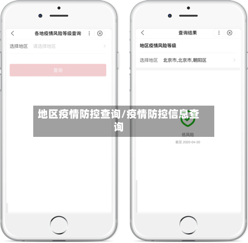 地区疫情防控查询/疫情防控信息查询-第2张图片