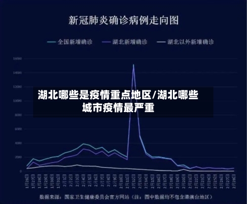 湖北哪些是疫情重点地区/湖北哪些城市疫情最严重-第3张图片