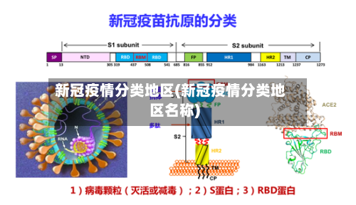 新冠疫情分类地区(新冠疫情分类地区名称)-第1张图片