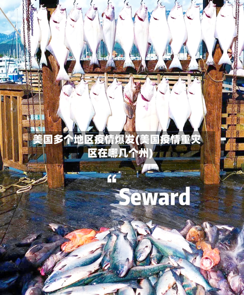 美国多个地区疫情爆发(美国疫情重灾区在哪几个州)-第1张图片