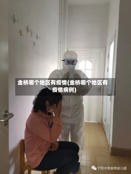 金桥哪个地区有疫情(金桥哪个地区有疫情病例)-第2张图片