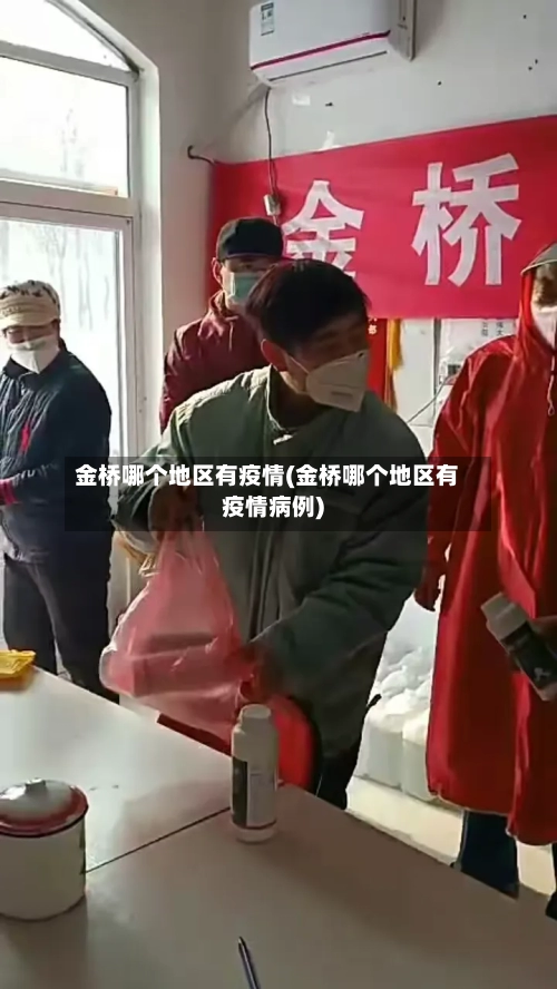 金桥哪个地区有疫情(金桥哪个地区有疫情病例)-第3张图片